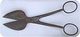 tijerita de podar